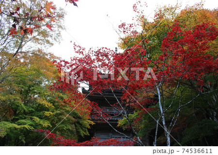 高源寺　紅葉　丹波市　【兵庫県】 74536611