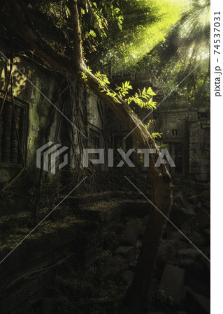 神秘の遺跡 74537031