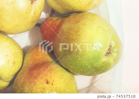 Reusable packaging of products by weight. Pears in a reusable bag close up on a pink background. Reusable packaging of products by weight. Pears in a reusable bag close up on a pink background. 74537510