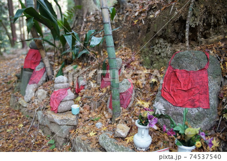 伏見稲荷の風景 伏見稲荷の風景 74537540