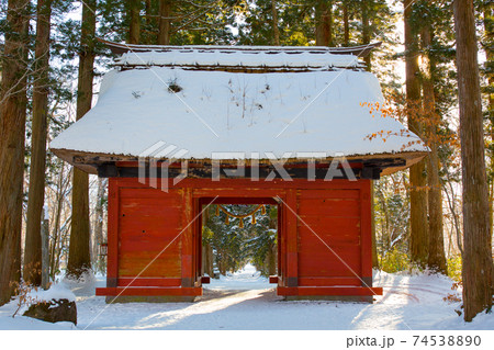 戸隠神社 歩いてきた参道の光 戸隠神社 歩いてきた参道の光 74538890
