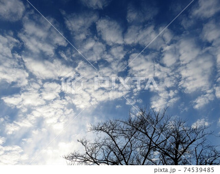 もこもこ雲 74539485