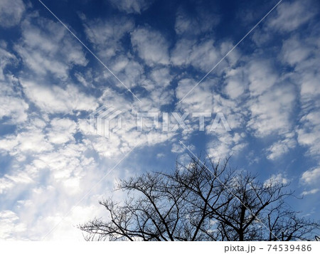 もこもこ雲の写真素材 [74539486] - PIXTA