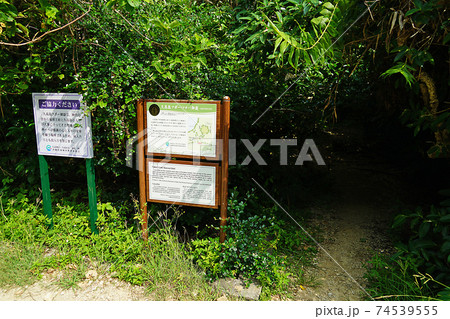 沖縄県・久高島 74539555
