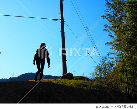 晴れた日の散歩 74540642