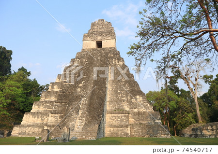 ティカル遺跡 ティカル遺跡 74540717