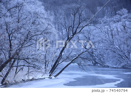 網走川の霧氷 網走川の霧氷 74540794