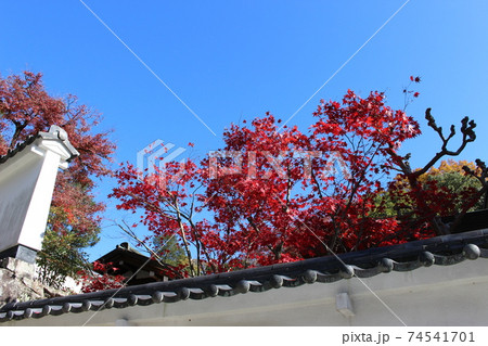 清荒神　紅葉　宝塚　【兵庫県】 74541701