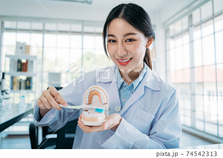 Dentist demonstrating way of brushing teeth Dentist demonstrating way of brushing teeth 74542313