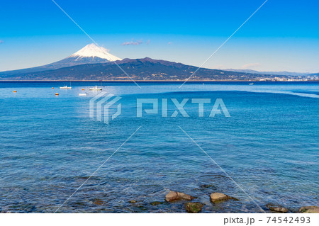 静岡県沼津市西浦の海岸と富士山 74542493