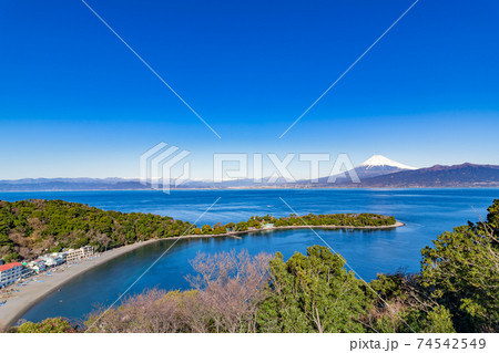 静岡県沼津市大瀬崎の海岸 静岡県沼津市大瀬崎の海岸 74542549