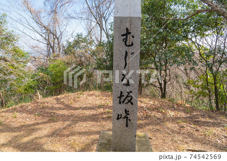 むじな坂峠（白山順礼峠ハイキングコース） 74542569