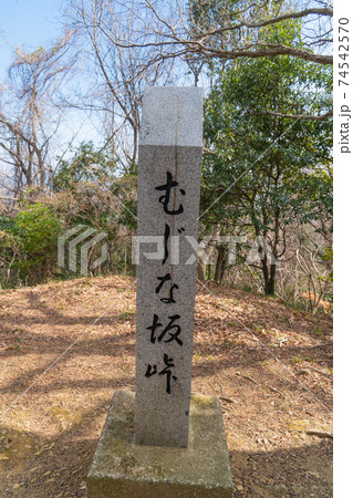 むじな坂峠（白山順礼峠ハイキングコース） 74542570