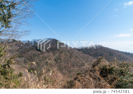 白山順礼峠ハイキングコースの登山道から見た白山 74542581