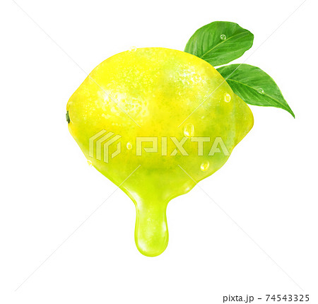 みずみずしい早摘みレモンと果汁のリアルなイラストのイラスト素材