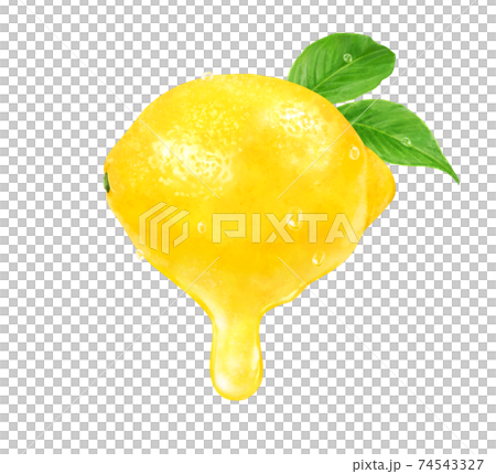 Illustration of fresh ripe lemon and fruit juice 74543327