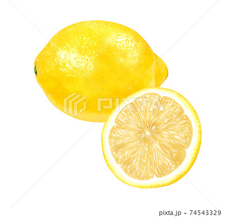 レモンの1つと半分のリアルなイラストのイラスト素材