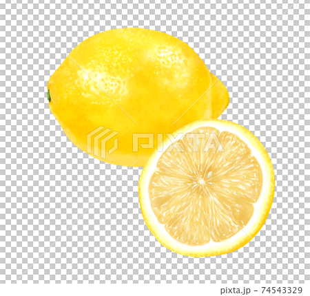 Realistic illustration of one and half of lemons 74543329