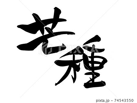 筆文字素材の手書きの【芒種】墨で書いた二十四節気のイラスト文字 74543550