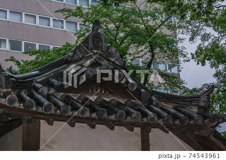 夏の高崎城の風景 夏の高崎城の風景 74543961