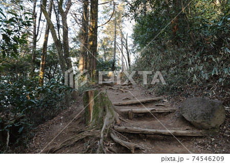 筑波山登山(おたつ石コース) 筑波山登山(おたつ石コース) 74546209