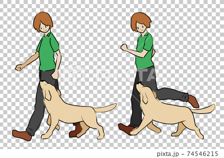 犬と歩く 走る人 カラー のイラスト素材