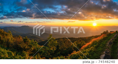 Tropical forest nature landscape sunset view with mountain range at Doi Inthanon, Chiang Mai Thailand panorama 74546240
