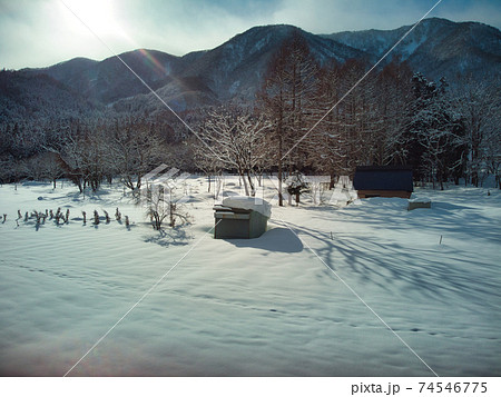 冬の雪原　長野県白馬村（ドローンによる空撮） 74546775