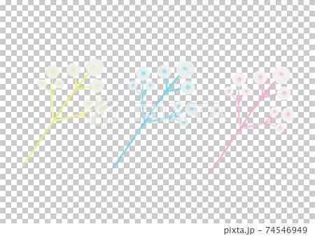 かすみ草 74546949
