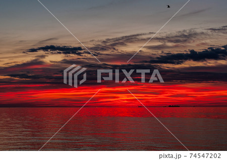 Colorful morning, bright crimson-red sunrise, Dark cirrus clouds in morning sky, horizon with ships in roadstead, smooth sea surface. Colorful morning, bright crimson-red sunrise, Dark cirrus clouds in morning sky, horizon with ships in roadstead, smooth sea surface. 74547202