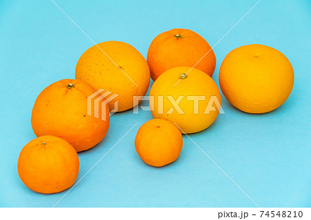 和歌山県産 春の柑橘類 和歌山県産 春の柑橘類 74548210