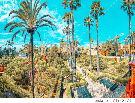 Panoramic view of big and beautiful garden - Gardens of Royal Al 74548579