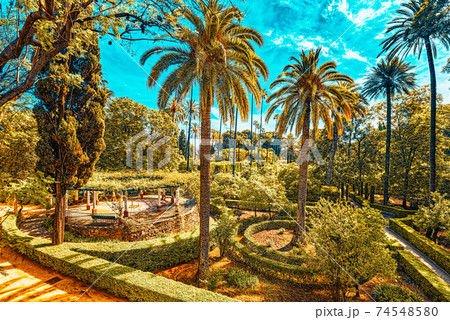 Panoramic view of big and beautiful garden - Gardens of Royal Al Panoramic view of big and beautiful garden - Gardens of Royal Al 74548580