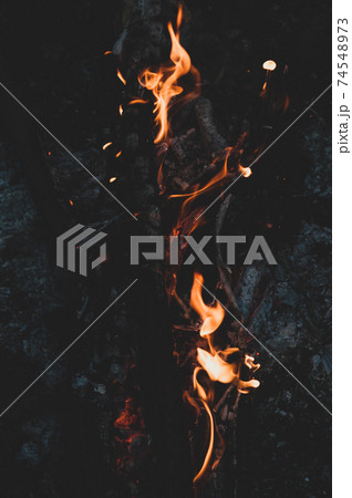 Cozy campfire in forest in nature. charred branches tree, burning wood, small bright flame fire. Summer camping, Cozy campfire in forest in nature. charred branches tree, burning wood, small bright flame fire. Summer camping, 74548973