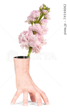 Pink rose flower in the wrong side of a hand - Human hand vase 74549062