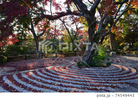 曜光山月山寺の紅葉　　＃4 74549443