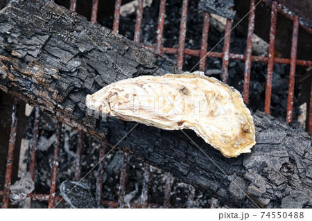 殻付かきの炭火焼　焼き牡蠣 74550488