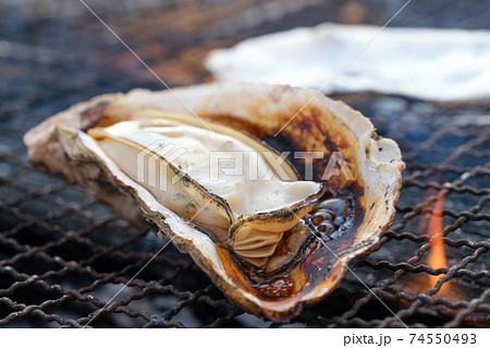 殻付かきの炭火焼 焼き牡蠣 殻付かきの炭火焼 焼き牡蠣 74550493