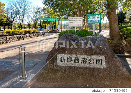 埼玉県川口氏江戸の新郷西沼公園 埼玉県川口氏江戸の新郷西沼公園 74550495