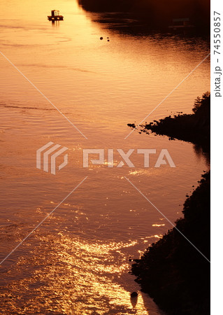 黄金色に輝くウチノ海 74550857