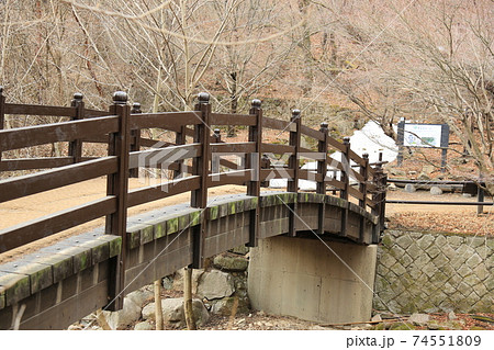 冬 川 河 74551809