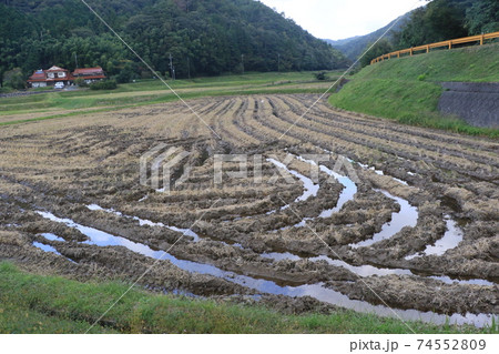 稲刈り終了後の風景。コンバインの跡に水が溜まっている。 稲刈り終了後の風景。コンバインの跡に水が溜まっている。 74552809