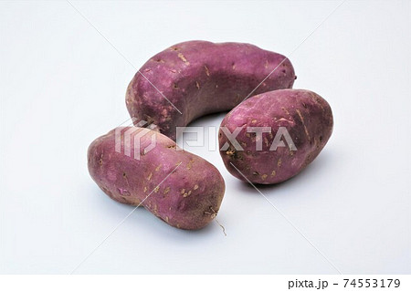 紅芋 紅芋 74553179