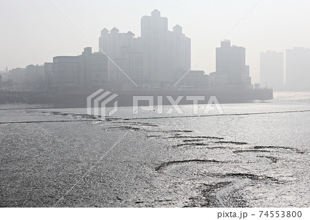 海 風景 海岸 74553800