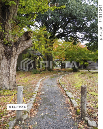 東桂苑【新潟県関川村】 東桂苑【新潟県関川村】 74555042