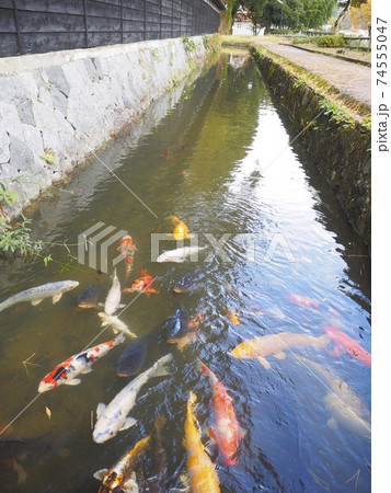 渡邉邸【新潟県関川村】 74555047