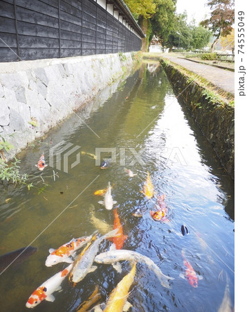 渡邉邸【新潟県関川村】 74555049