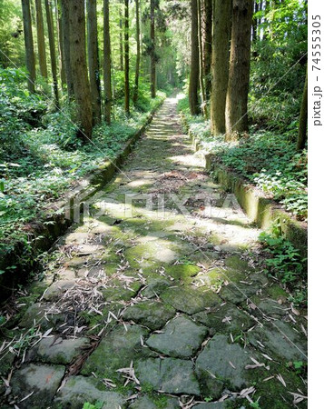 「草枕の道」を歩く (熊本県玉名市) 「草枕の道」を歩く (熊本県玉名市) 74555305