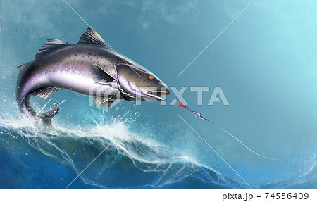 Black Cod, Sablefish attack fish bait jigs and stakes spoon bait jumping out of water illustration isolate realistic. Black Cod fish on the background of the waves of the open ocean. Black Cod, Sablefish attack fish bait jigs and stakes spoon bait jumping out of water illustration isolate realistic. Black Cod fish on the background of the waves of the open ocean. 74556409