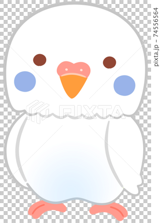 インコのキャラクターのイラスト素材